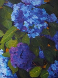 Garden Hydrangeas