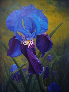 Iris